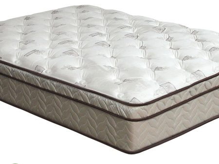 Lilium White Brown 13  Euro Pillow Top Mattress, Full For Discount