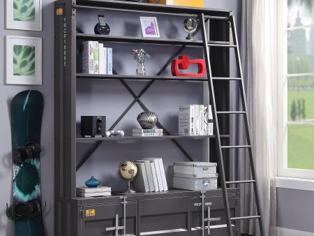 Cargo Gunmetal Bookshelf & Ladder Fashion