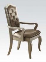 Acme Francesca Arm Chair in Silver Champagne (Set of 2) 62083 Hot on Sale