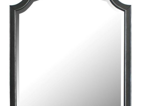 Acme Furniture House Beatrice Mirror in Light Gray 28814 Cheap