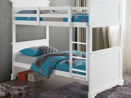 Albano Twin Full Bunk Bed Online now