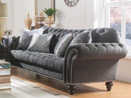 Acme Furniture Gaura Sofa in Dark Gray Velvet 53090 on Sale