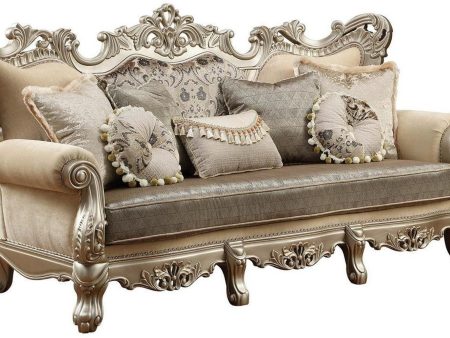 Acme Furniture Ranita Sofa in Champagne 51040 Online now