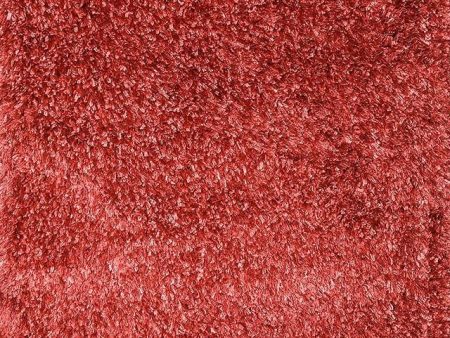 Annmarie Scarlet 5  X 8  Area Rug Fashion