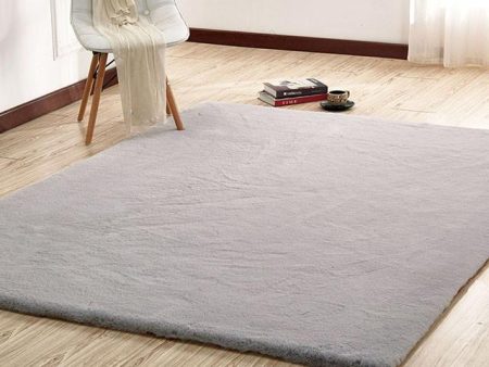 Caparica Silver 5  X 7  Area Rug Discount