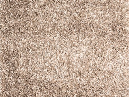 Annmarie Beige 5  X 8  Area Rug Online