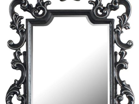 Acme Furniture House Delphine Mirror in Charcoal 28834 Online Hot Sale