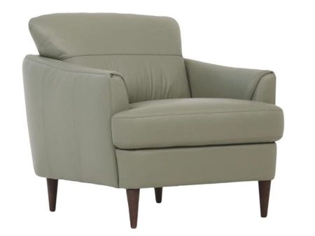 Acme Furniture Helena Chair in Moss Green 54572 Online now