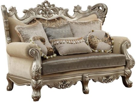 Acme Furniture Ranita Loveseat in Champagne 51041 Online now