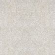 Annmarie White 5  X 8  Area Rug Fashion