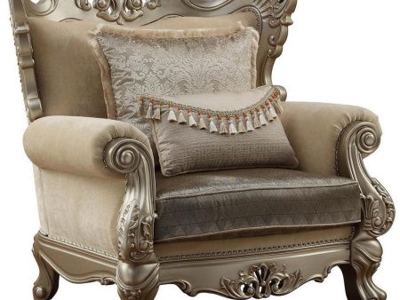 Acme Furniture Ranita Chair in Champagne 51042 Hot on Sale