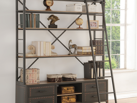 Actaki Sandy Gray Bookshelf & Ladder Fashion